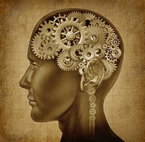 Blood Pressure Factors - L-Theanine 200MG - antioxidant - 1 Bottle (60 Capsules)