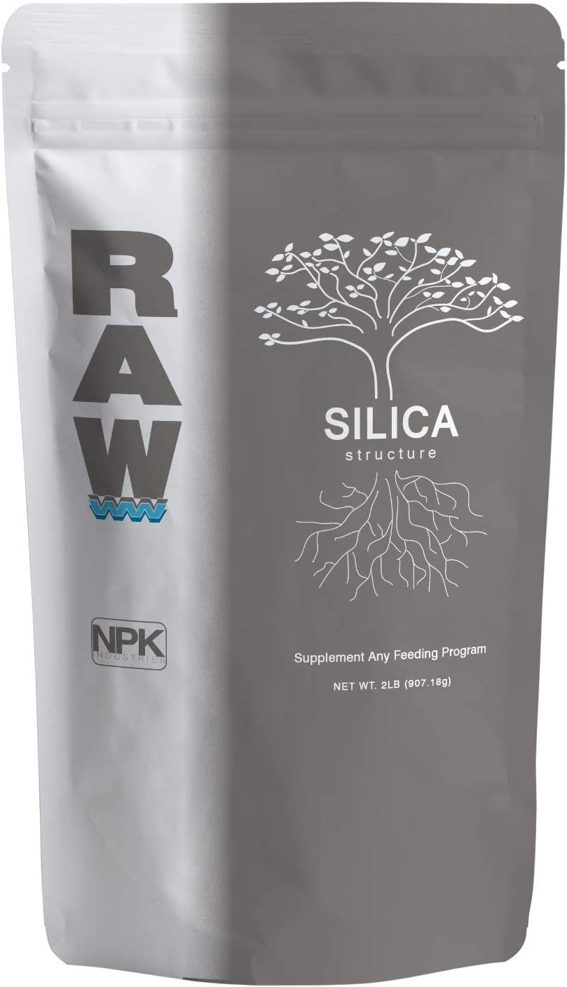 RAW Silica - 2 lb