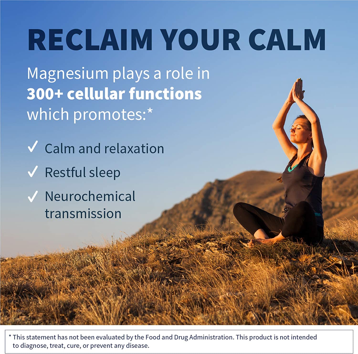 Klaire Labs Magnesium Chelate Powder FastDissolving 200 Milligrams