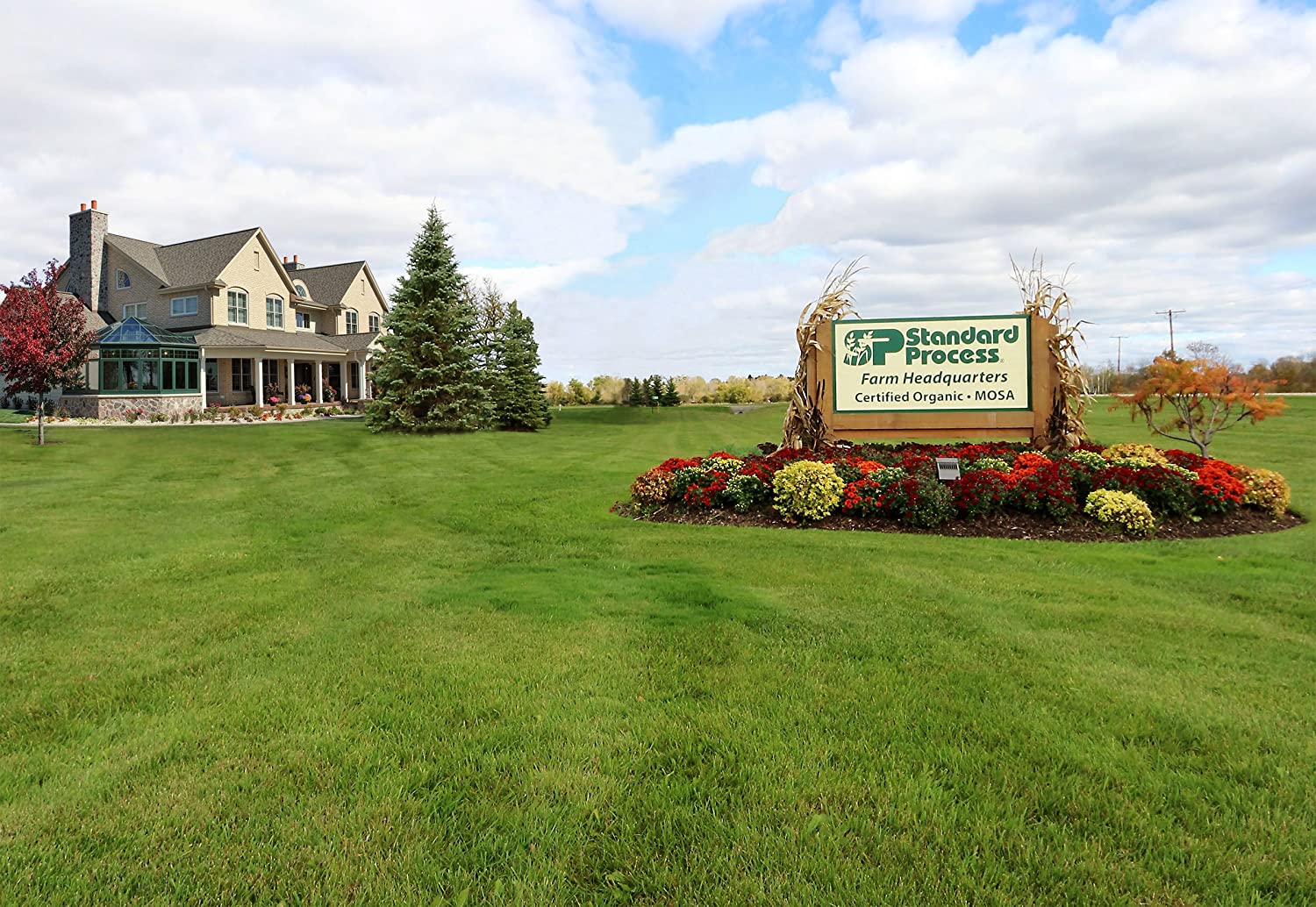 Standard Process Cyro-Yeast - Whole Food Wellbeing and Digestive Health Formula with Shiitake, Rice 