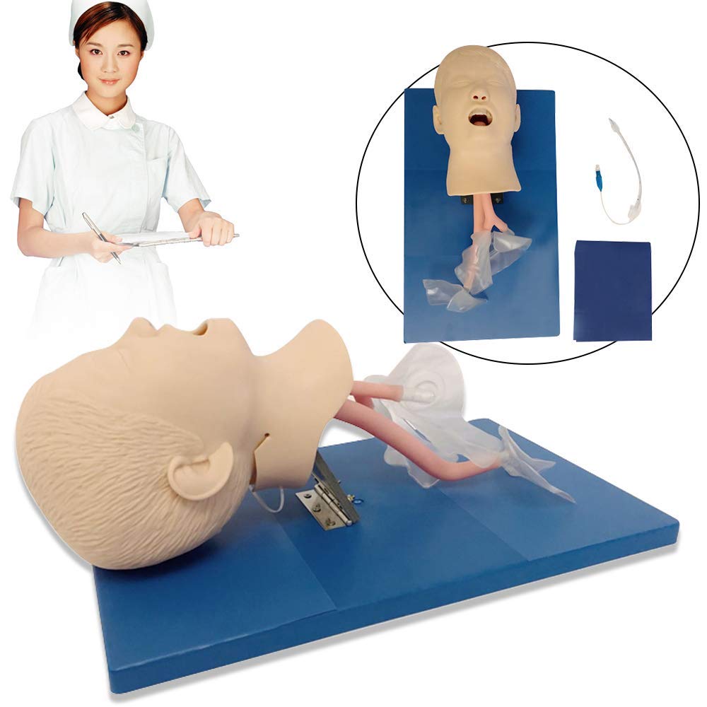 PVC Pediatric Intubation Manikin Study Teaching Model, Oral Nasal Intubation Manikin Training Study 