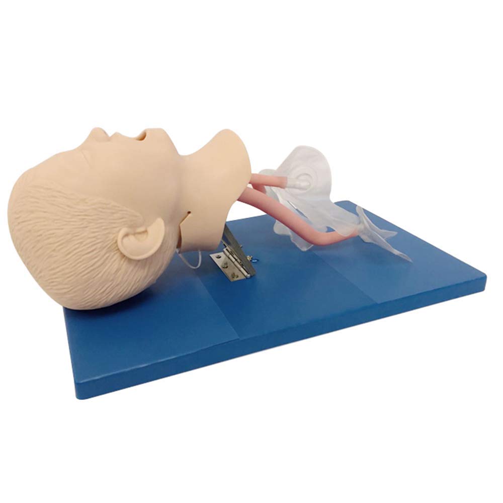 PVC Pediatric Intubation Manikin Study Teaching Model, Oral Nasal Intubation Manikin Training Study 