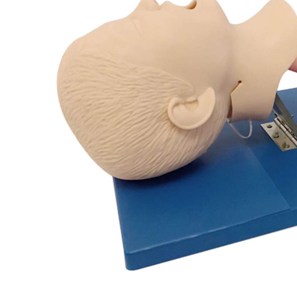 PVC Pediatric Intubation Manikin Study Teaching Model, Oral Nasal Intubation Manikin Training Study 
