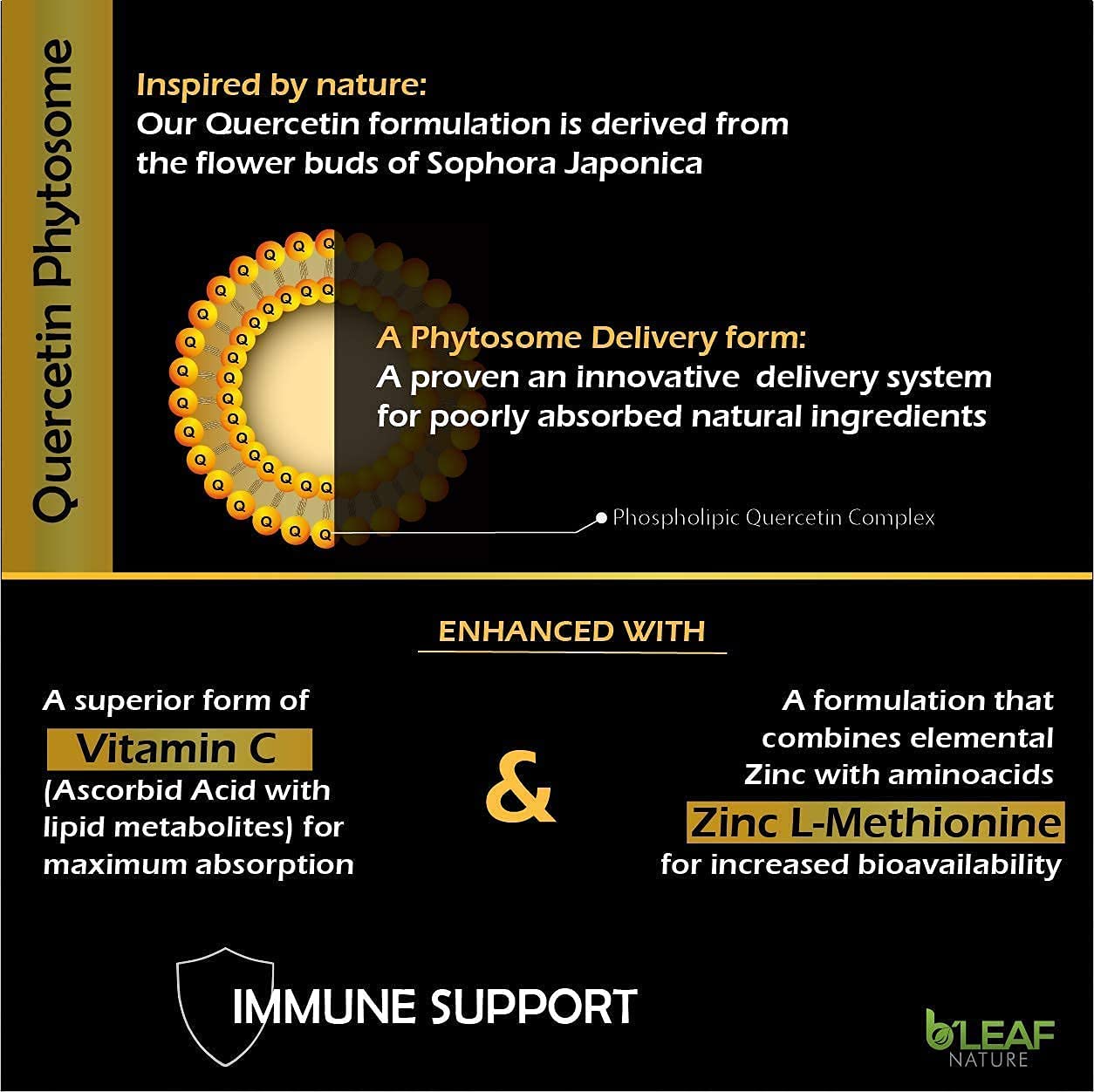 Quercetin Phytosome Vitamin C and Zinc Capsules - Super Absorption – Immune Support Complex – Re