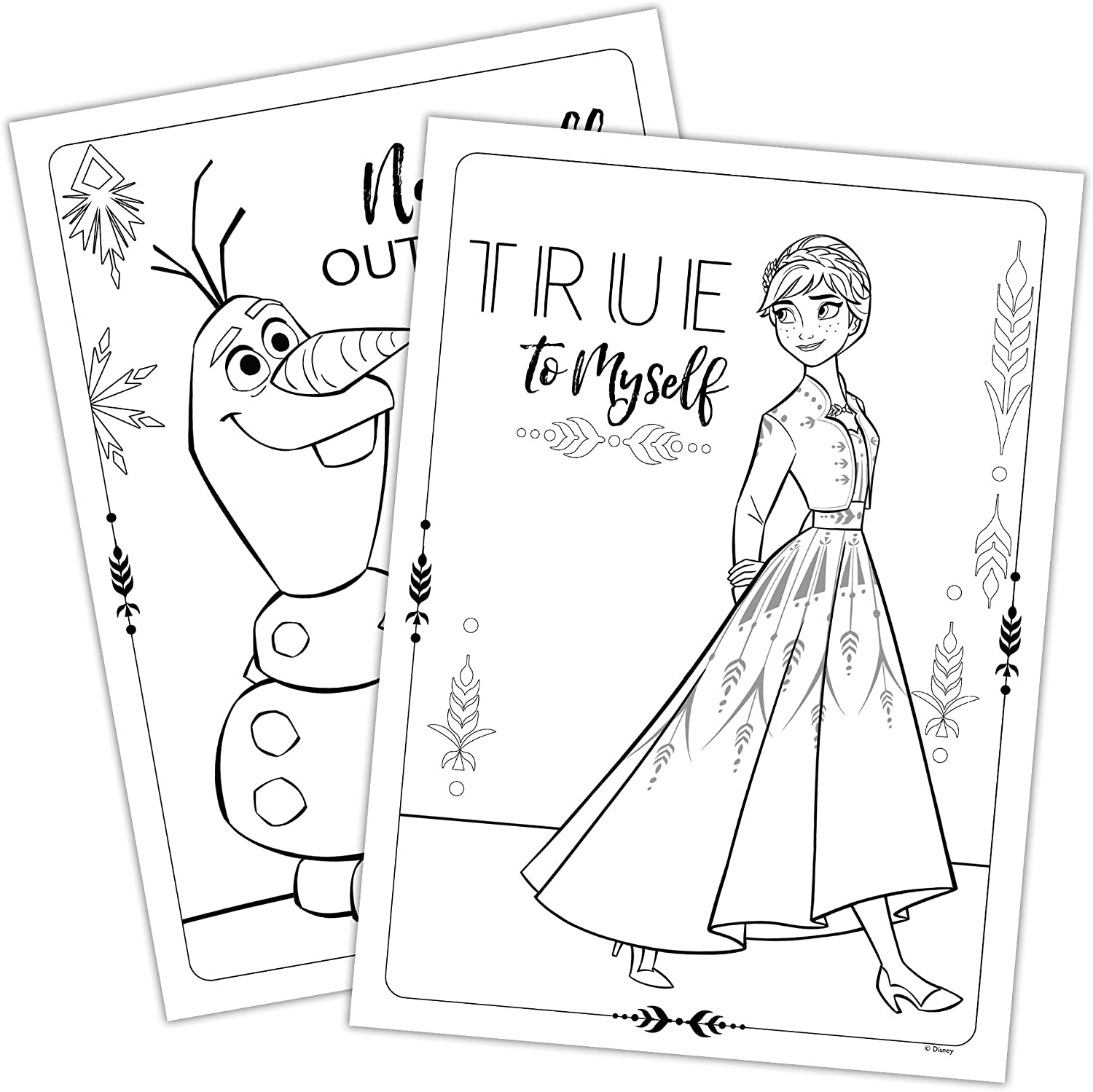 Disney Frozen 2 Anna and Elsa 24 Page Imagine Ink Magic Pictures and 1 Mess-Free Marker 45811 Bendon