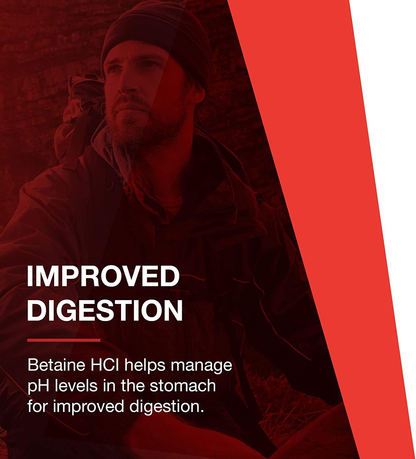 Protocol EnzymesHCl Betaine HCl and Digestive Enzymes with Bromelain