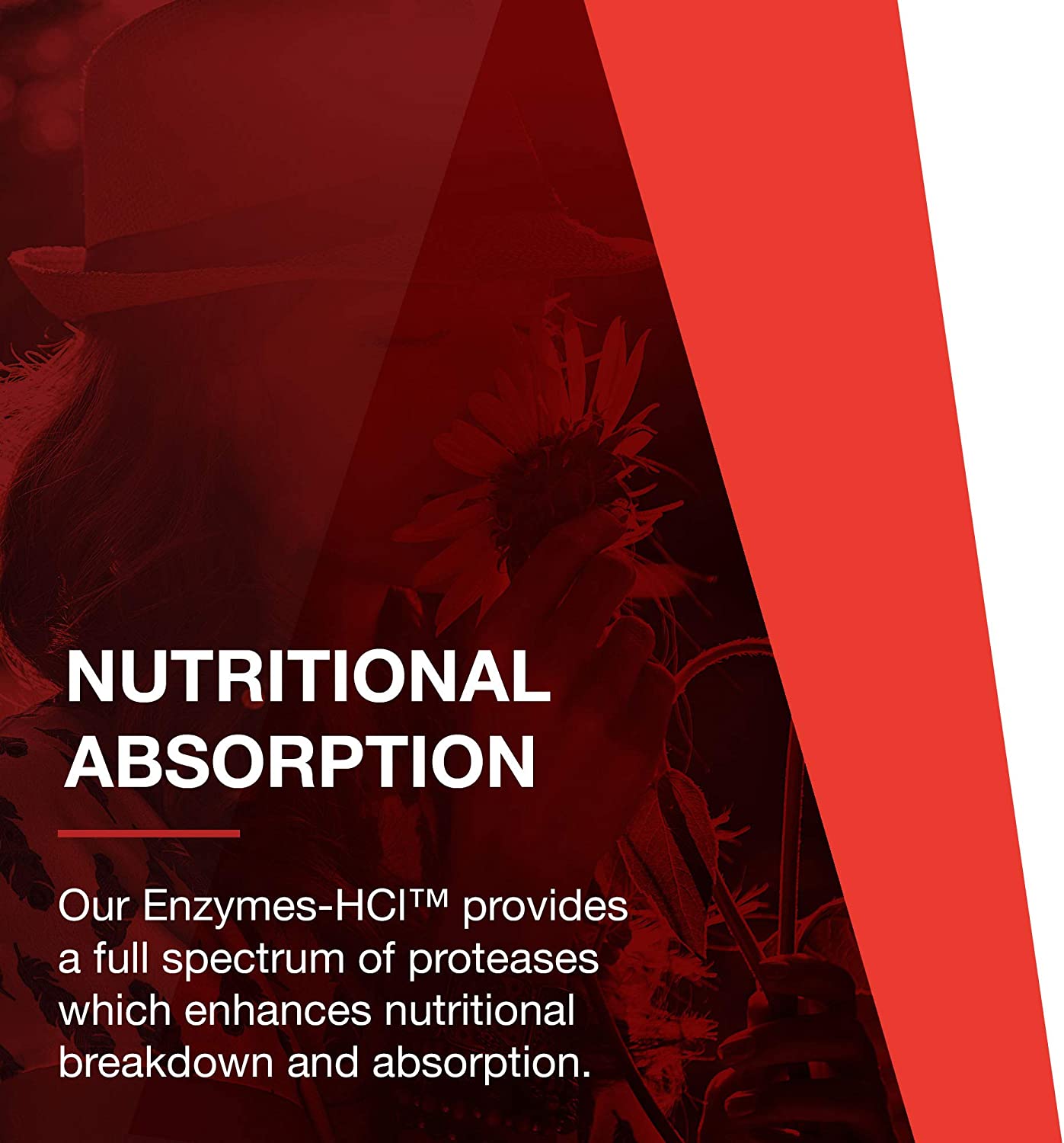 Protocol Enzymes-HCl - Betaine HCl and Digestive Enzymes with Bromelain - 120 Caps