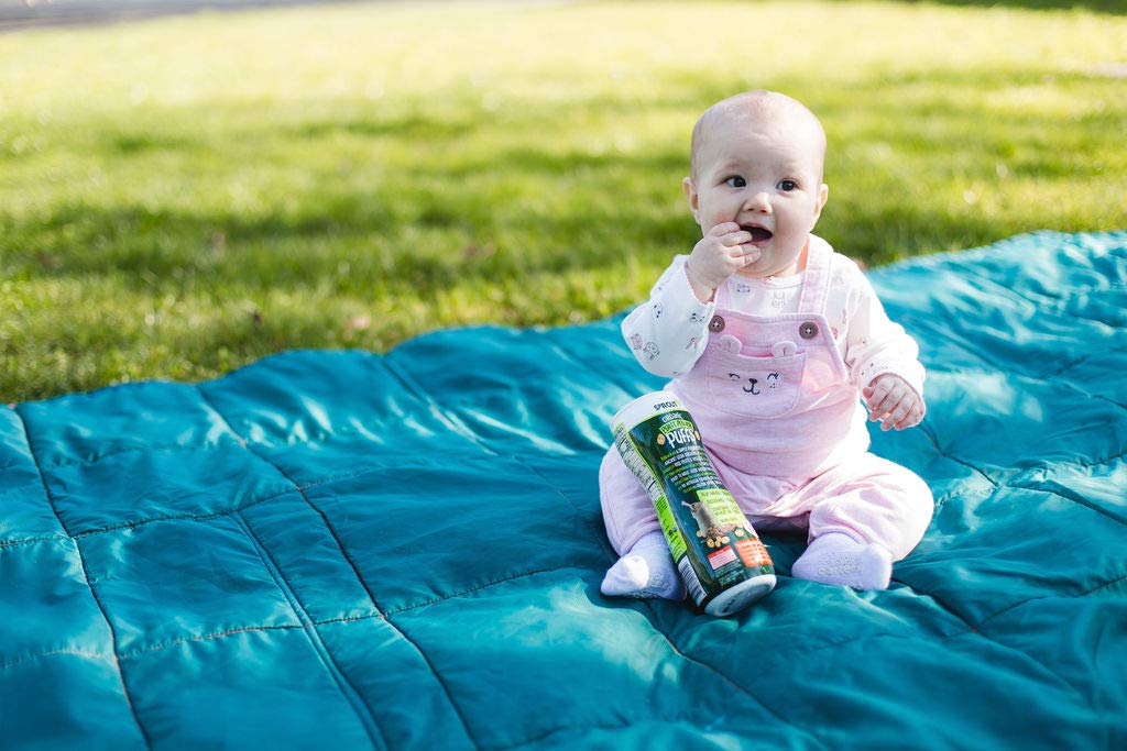 Sprout Organic Baby Food Baby Snacks Plant Power Puffs, Apple Kale, 1.5 Oz (Pack of 6)