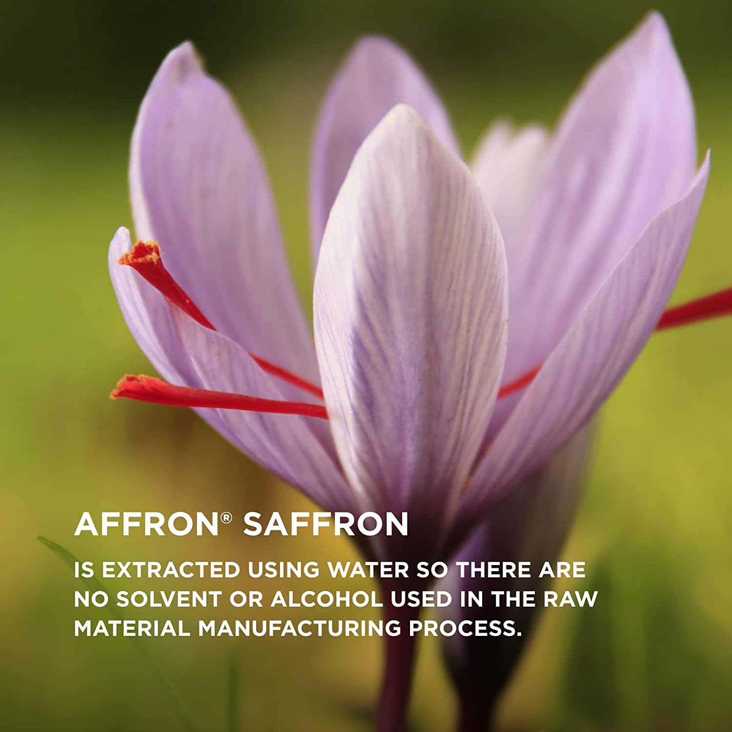 Solgar Menopause Relief - 30 Tablets - Helps Relieve Hot Flashes, Exhaustion, Irritability, Sleep Di