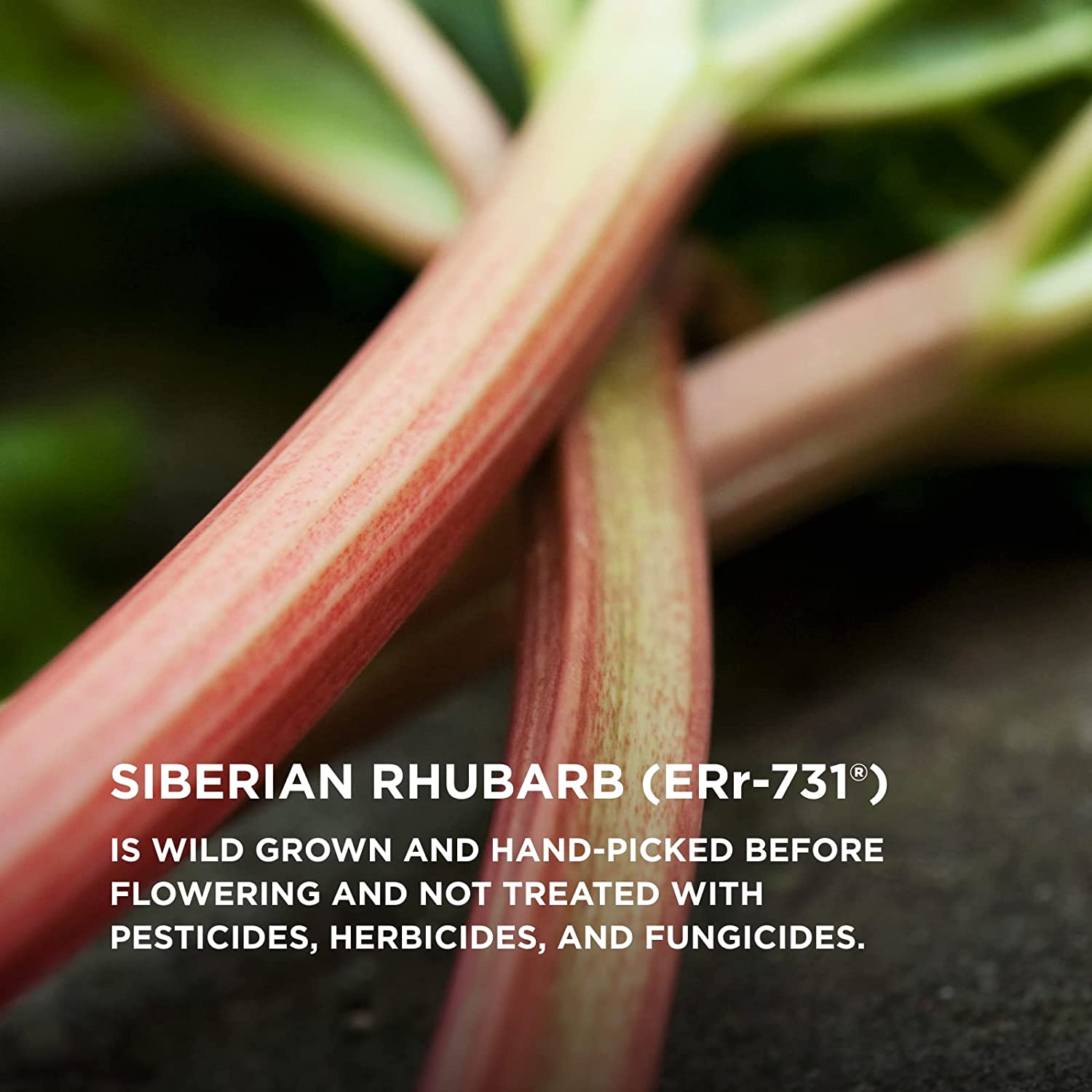 Solgar Menopause Relief - 30 Tablets - Helps Relieve Hot Flashes, Exhaustion, Irritability, Sleep Di