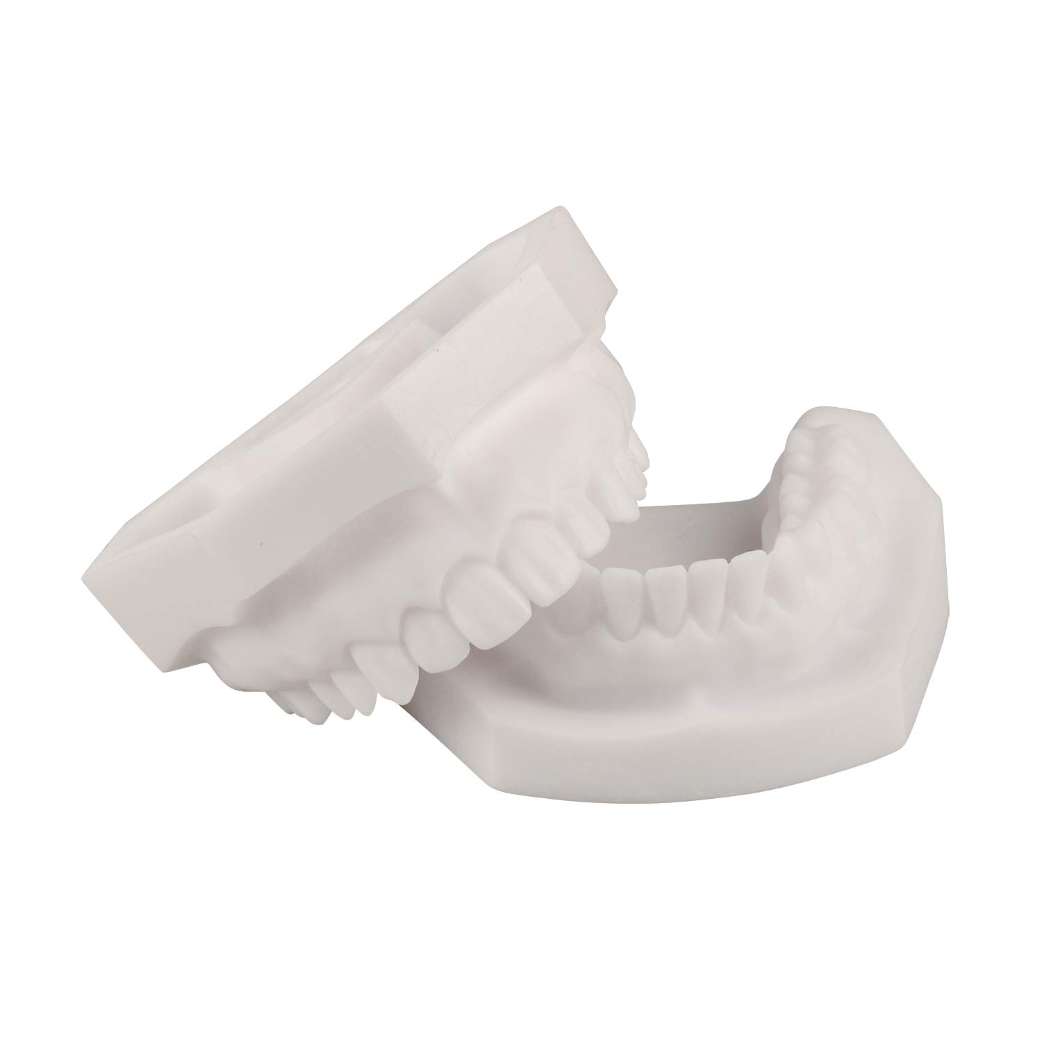 Ultrassist Dental Teeth Implant Preparation Practice Model, Basic Plain Implant Training Model for D