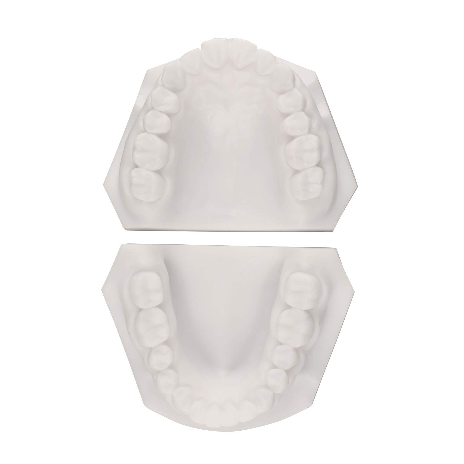 Ultrassist Dental Teeth Implant Preparation Practice Model, Basic Plain Implant Training Model for D