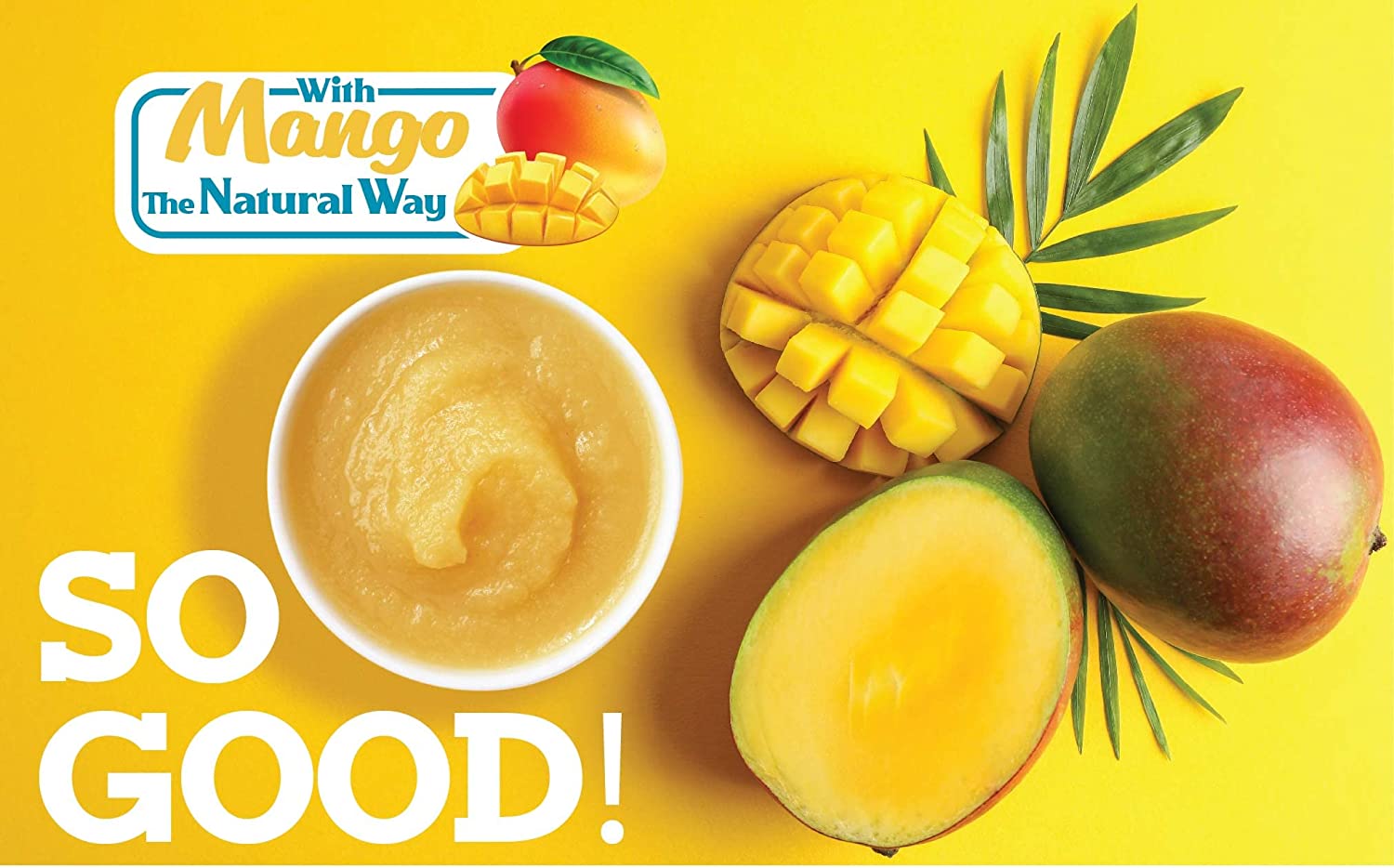 Organic Sea Moss Gel (4 Flavors) - 16 Ounces - Real Fruit - Wildcrafted Sea Moss from St. Lucia (Pin