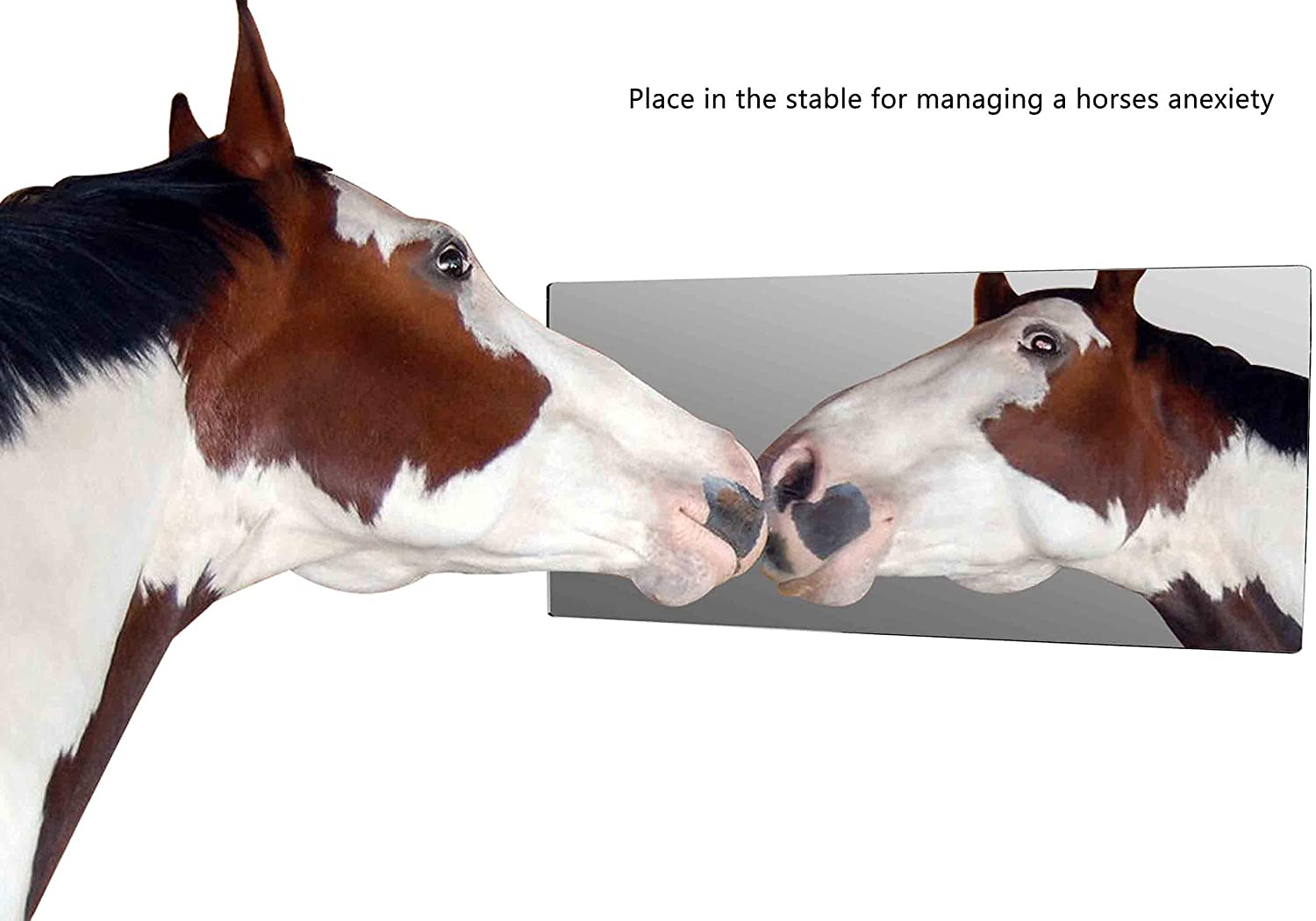 Marketing Holders 11” x 23