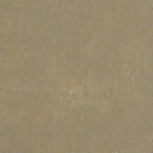 Walttools Tru Tique (Sandstone) | Concrete Antiquing Wash Color Pigment (19 Colors) - Enhance Textur