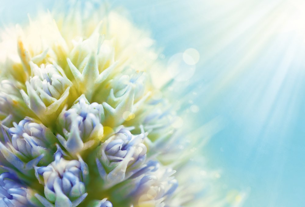 Yves Rocher Perfect Skin Solaire After Sun 3 in 1 Moisturising Lotion