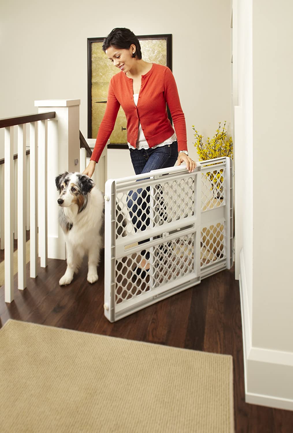 Toddleroo by North States Classic Baby and Child Safety Pet Gate, 26