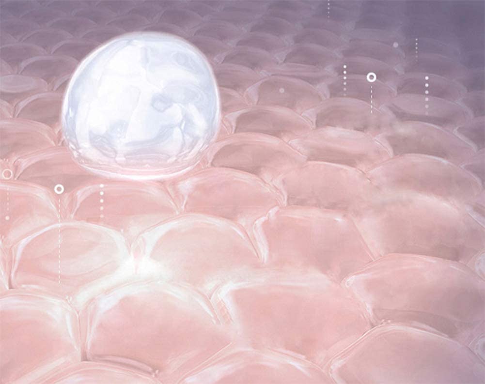 XWZ Spray Gun Airbrush Makeup Airbrush, Nano Facial Steamer, Nano Spray Handy Mist Spray, Humidifier