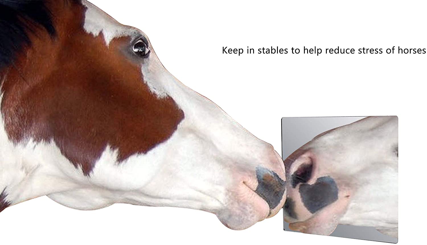 Marketing Holders 7”W Sheet Mirror w/Rounded Corners DIY Wall Decor Vanity Home Architectural Art