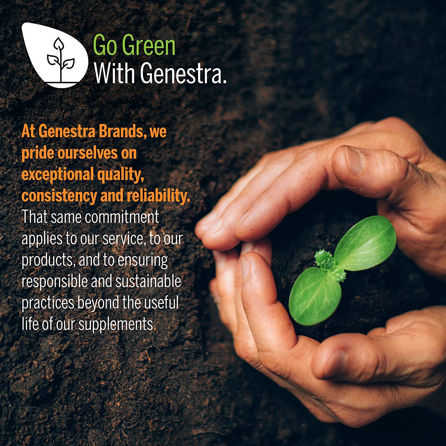 Genestra Brands Bromelain Papain + | Multi Enzymatic Formulation in Tablet Format | 60 Tablets