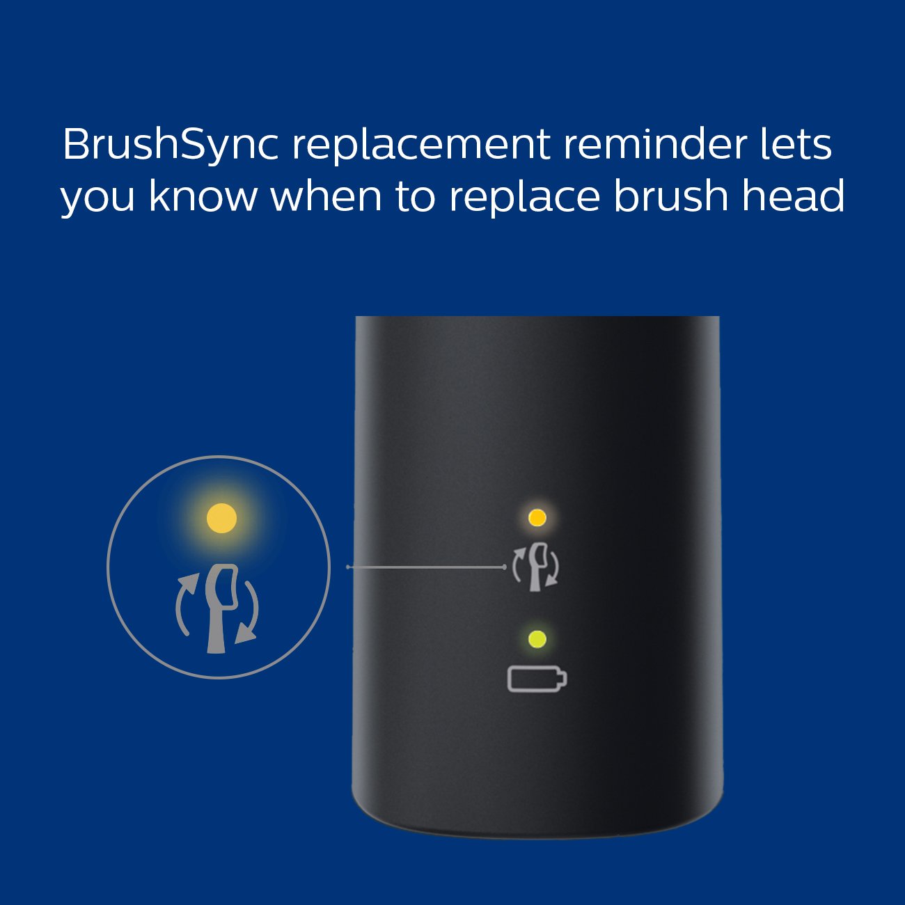 Philips Sonicare Protective Clean 6100 Navy Blue and 2 pack Premium Plaque Control Brush Head Bundle