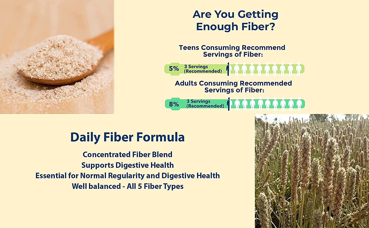 Yerba Prima Daily Fiber Formula Powder - 12 oz (Pack of 4) - Soluble & Insoluble Dietary Fiber Suppl