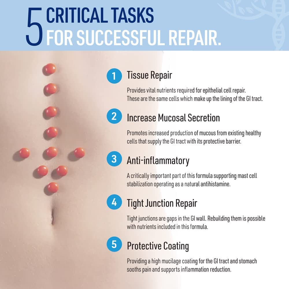 Leaky Gut Repair Powder – Glutamine Powder w/Slippery Elm & Marshmallow Root - Leaky Gut Repair Su