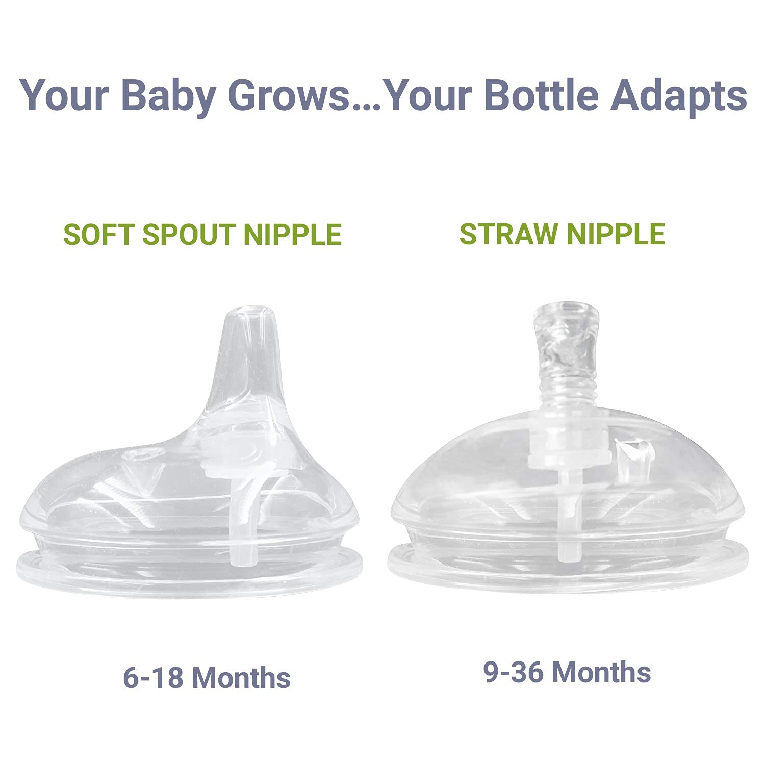 Anpei Straw and Sippy Cup Transitional Nipples Set of 2 with Nipple