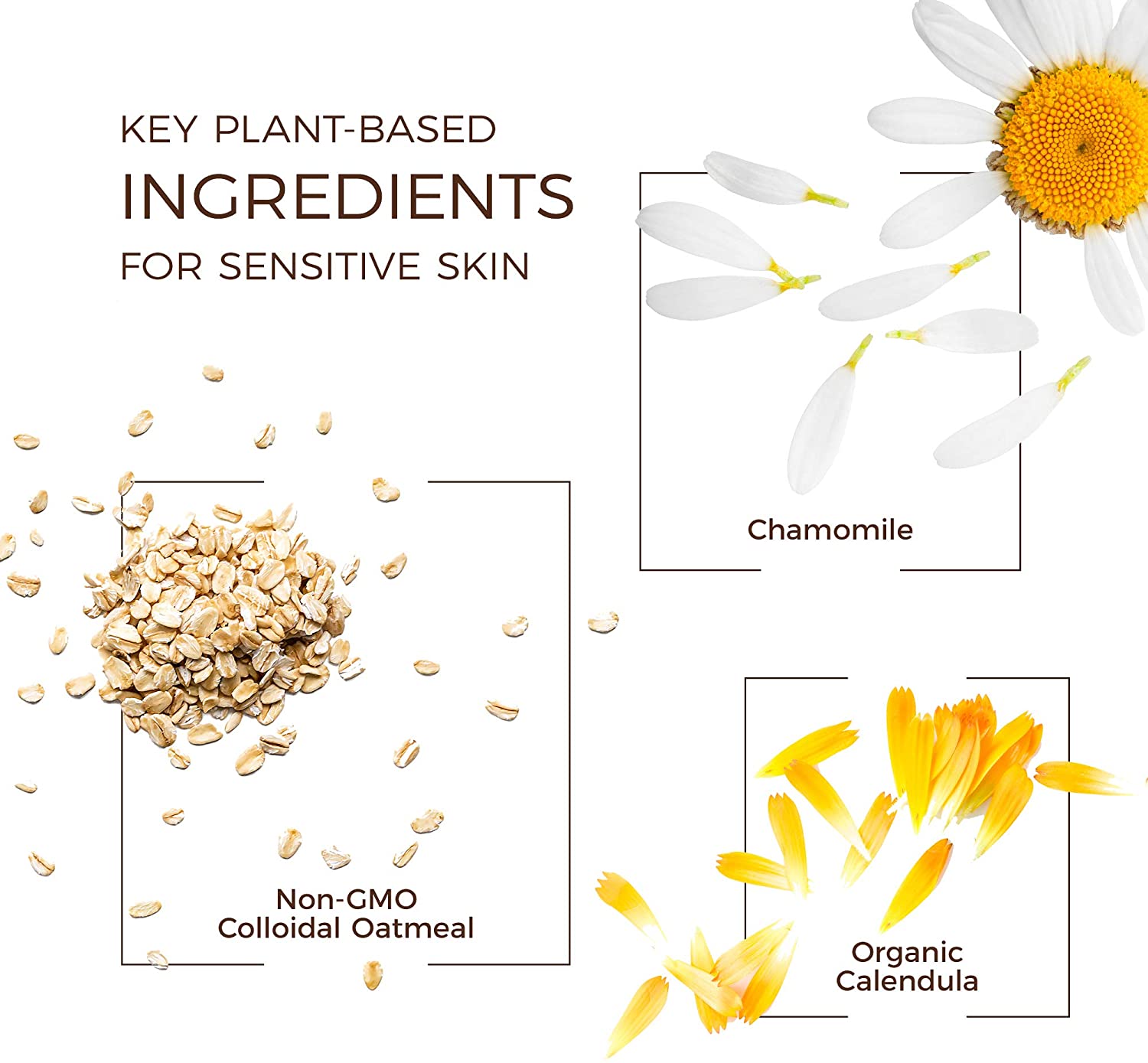 Babo Botanicals Moisturizing Plant-Based 2-in-1 Bubble Bath & Wash - with Organic Calendula & Natura