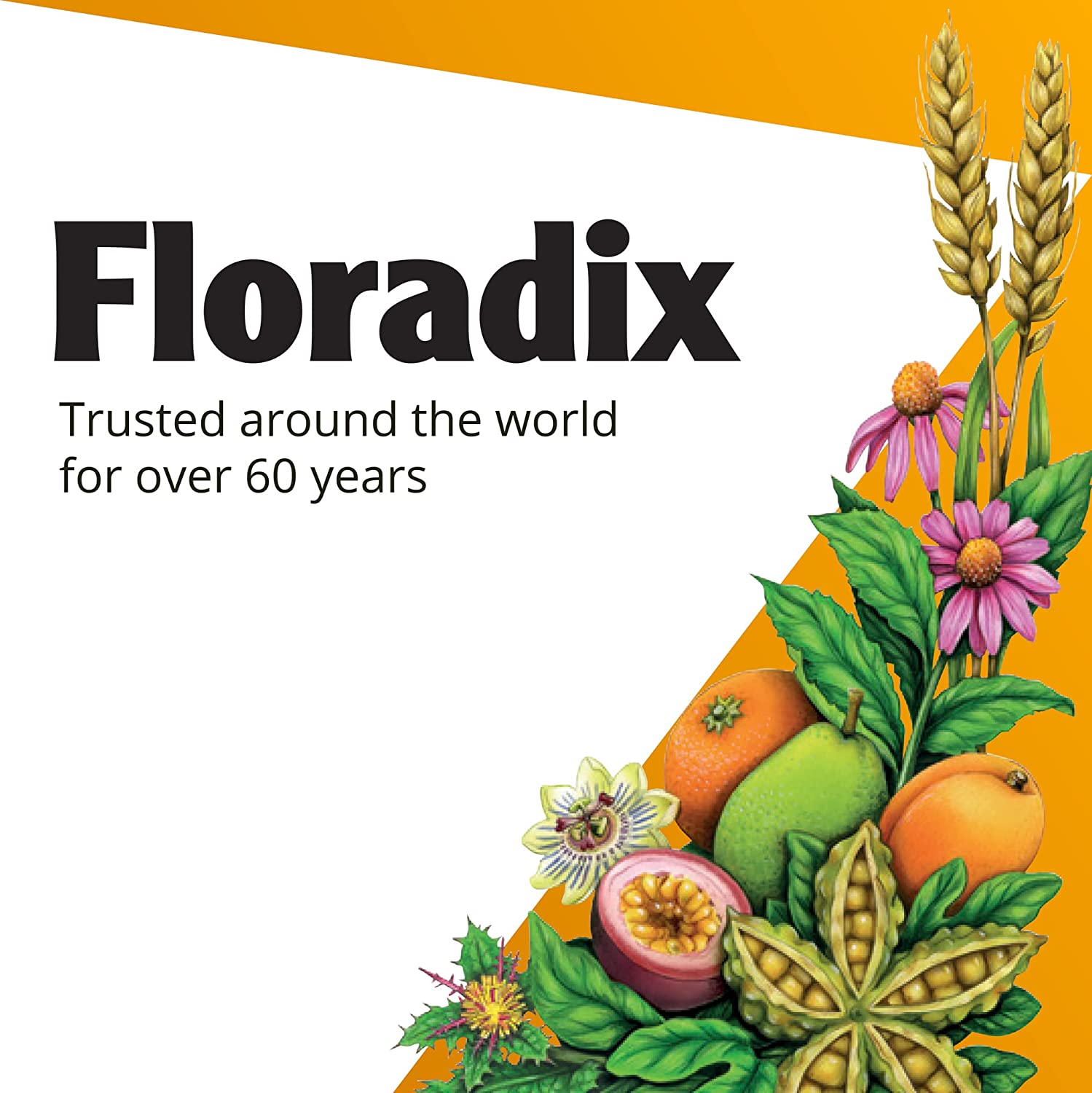Floradix, Epresat Vegetarian Adult Liquid Multivitamin for Overall Health, 17 Fl. Oz