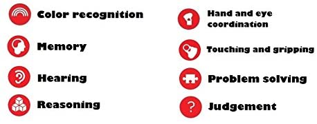 Tolo Toys Push and Go Teddy