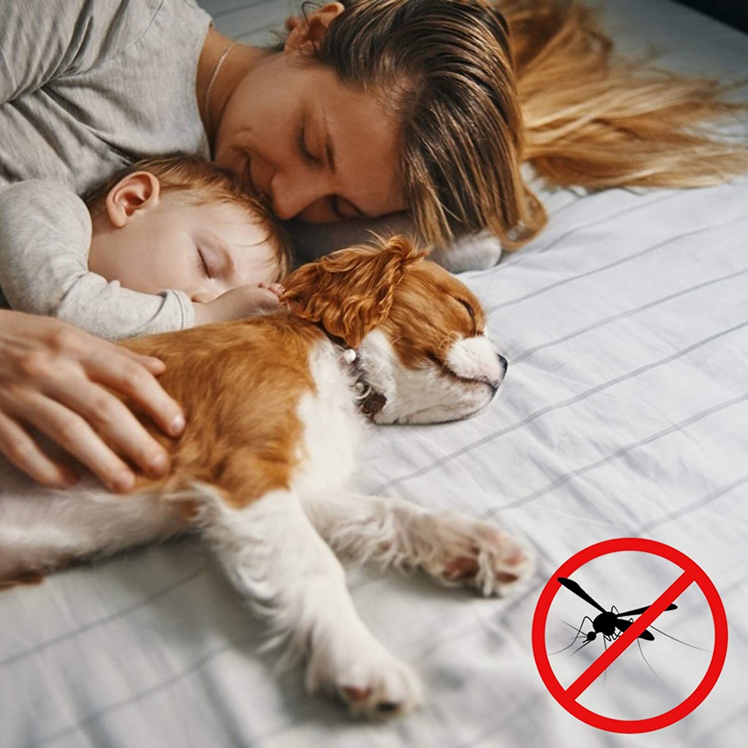 GOUER Mosquito Door Screen, 105x200cm Keep Bugs Out Insect Mosquito Door Screen with Magic Tape, for