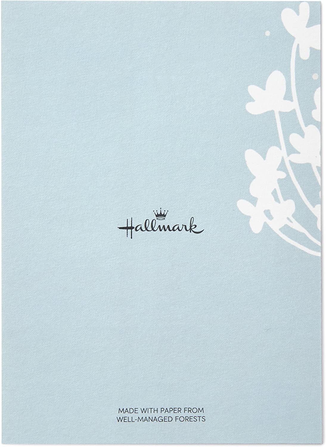 Hallmark Pack of 20 Thank You for Your Sympathy Cards, Cherry Blossom (Funeral Thank You Cards)