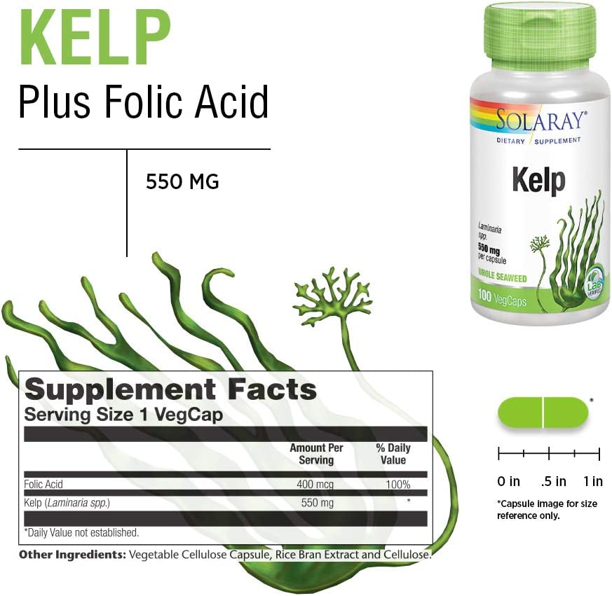 Solaray Kelp 550 mg with Folic Acid for Healthy Thyroid Function, Energy & Metabolism Support | Non-
