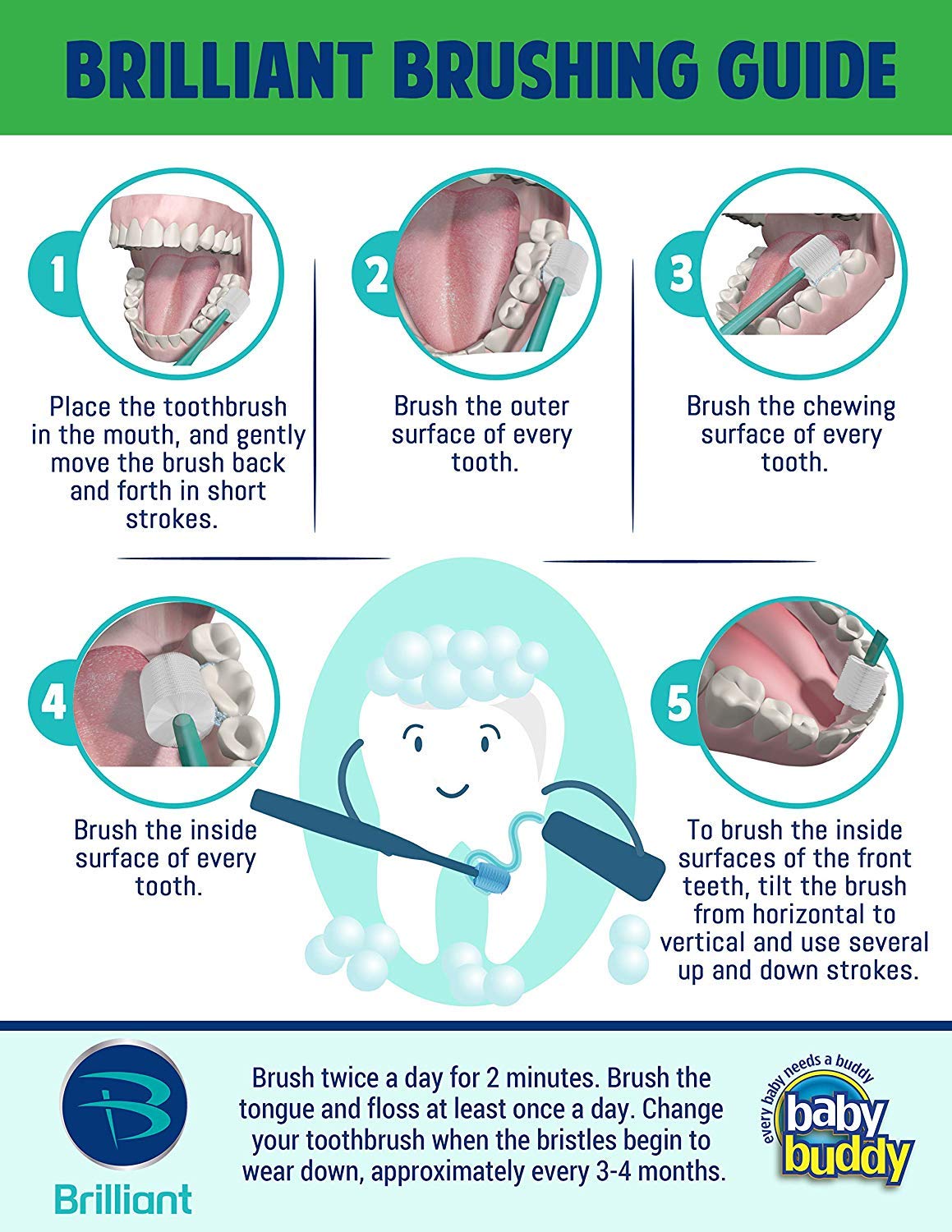 Brilliant Child Toothbrush by Baby Buddy - Ages 2-5 Years, When Molars Appear, Micro Bristles Clean 