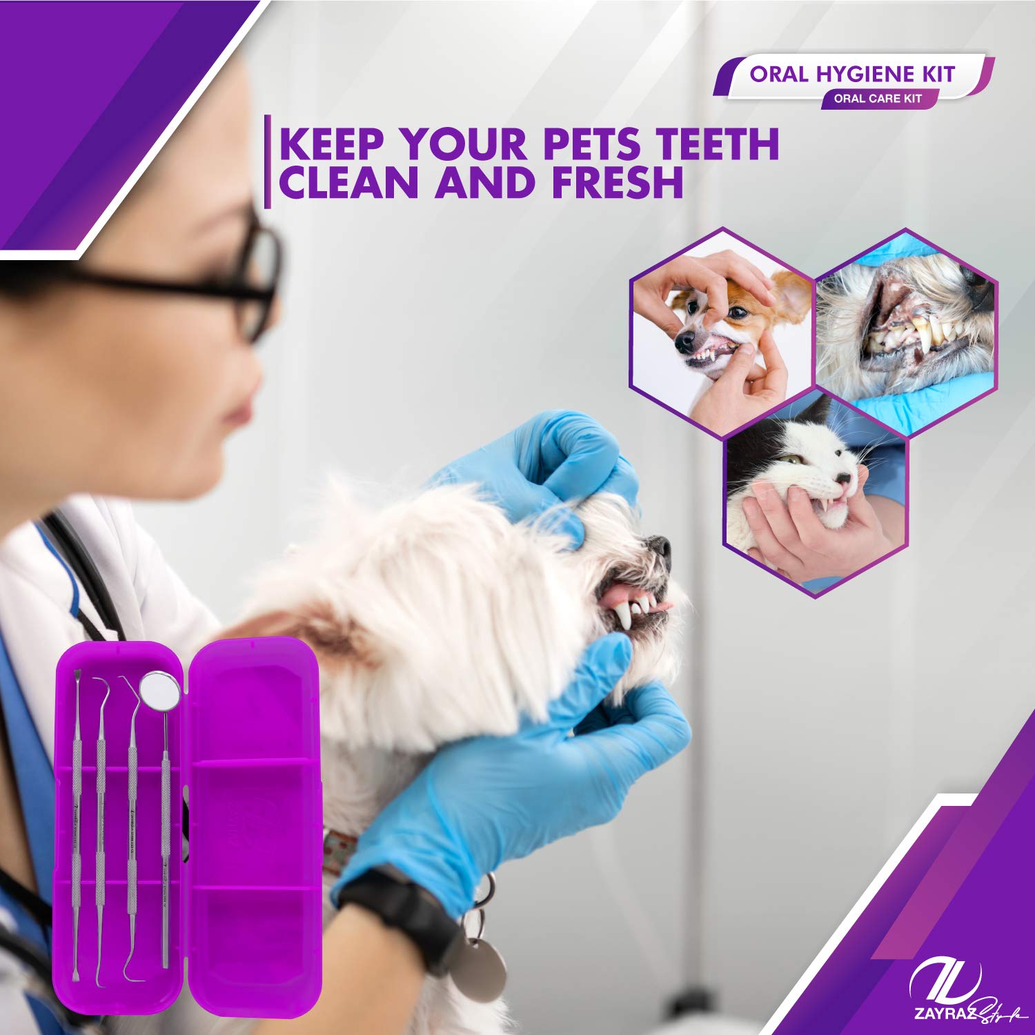 Zayraz Style Professional Dental Hygiene Kit- Calculus & Plaque Remover Set of 4- Stainless Steel Ta