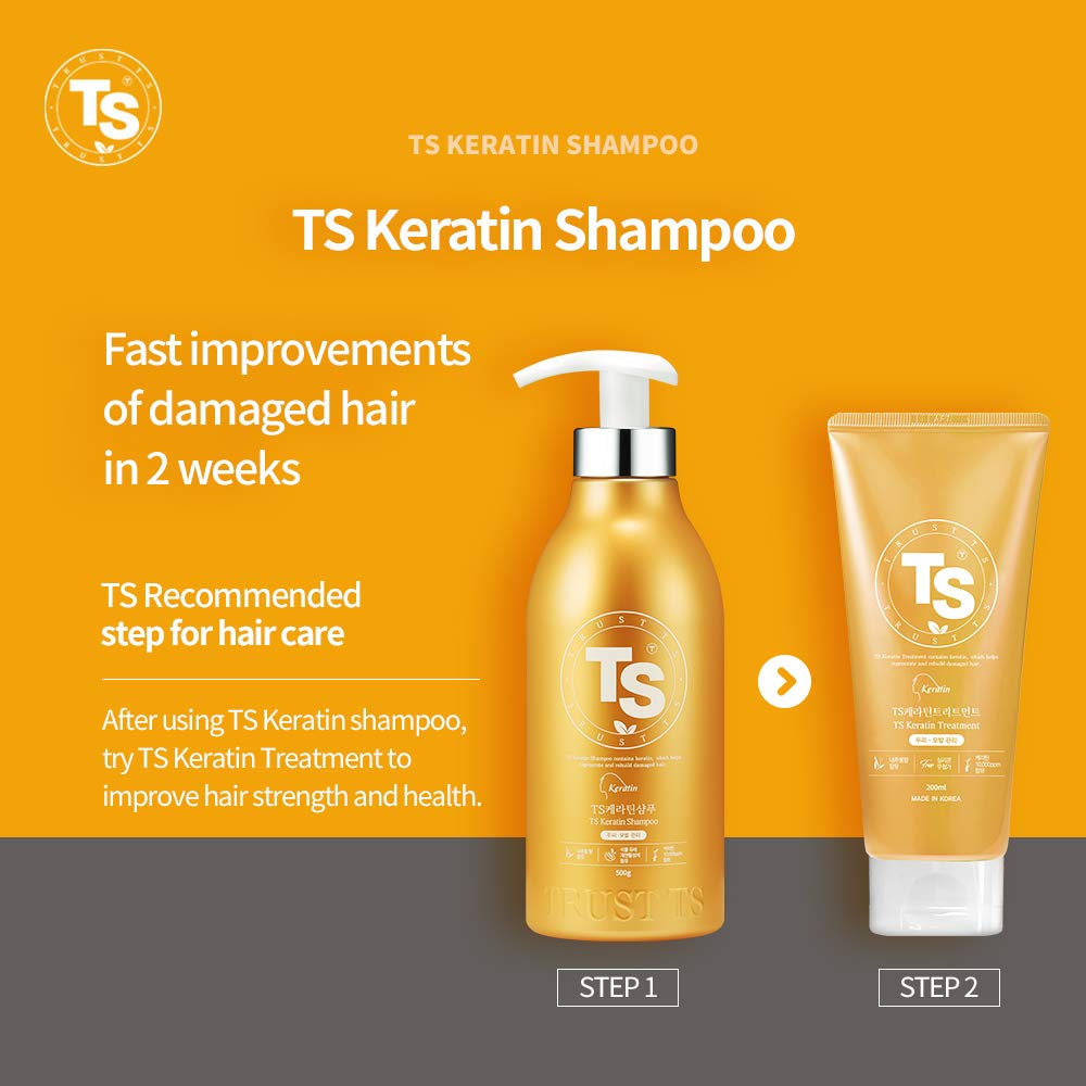 TS Keratin Shampoo (16.9 Fl Oz / 500mL) | Shampoo for Damaged Hair and Dry Scalp| Keratin Hair Care 
