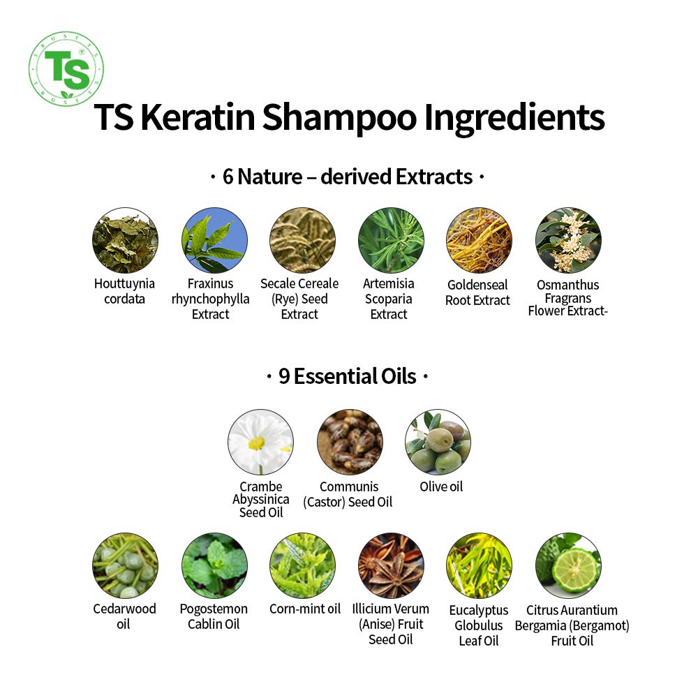 TS Keratin Shampoo (16.9 Fl Oz / 500mL) | Shampoo for Damaged Hair and Dry Scalp| Keratin Hair Care 