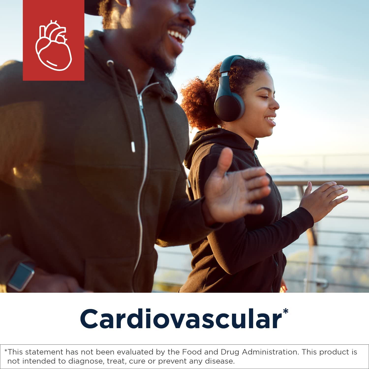 Designs for Health Homocysteine Supreme - Methylation + Cardiovascular Support Supplement with Folat