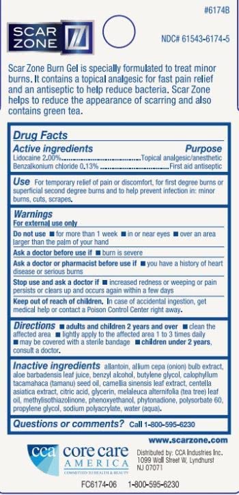 Scar Zone Burn Pain Relief Gel, Extra Strength Topical Analgesic, Treats Minor Cuts, Burns and Abras