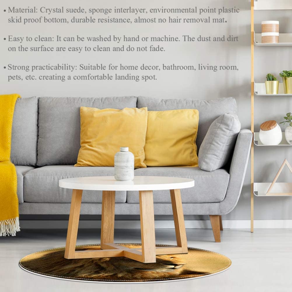 Prairie Lion Baby Crawling Mat Home Decorative Carpet Soft and Washable Pad Non-Slip for Kid's Toddl