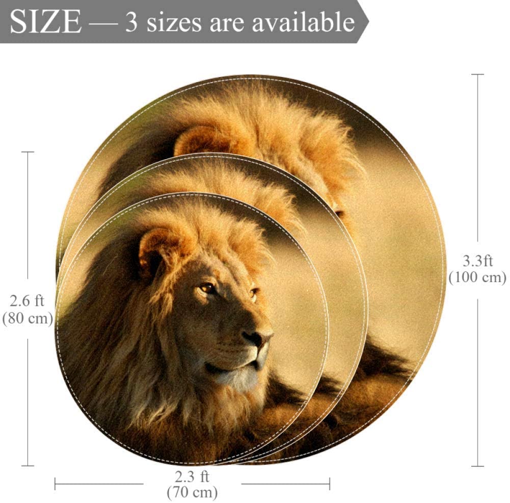 Prairie Lion Baby Crawling Mat Home Decorative Carpet Soft and Washable Pad Non-Slip for Kid's Toddl
