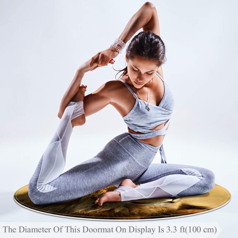 Prairie Lion Baby Crawling Mat Home Decorative Carpet Soft and Washable Pad Non-Slip for Kid's Toddl