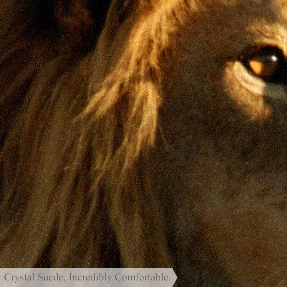 Prairie Lion Baby Crawling Mat Home Decorative Carpet Soft and Washable Pad Non-Slip for Kid's Toddl