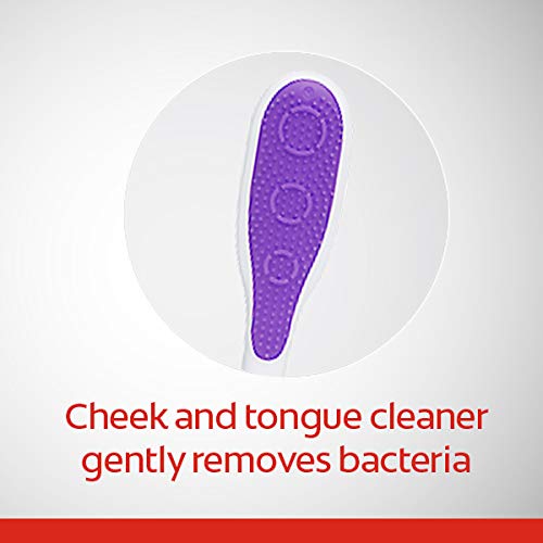 Colgate 360 Adult Toothbrush, Medium (4 Count)