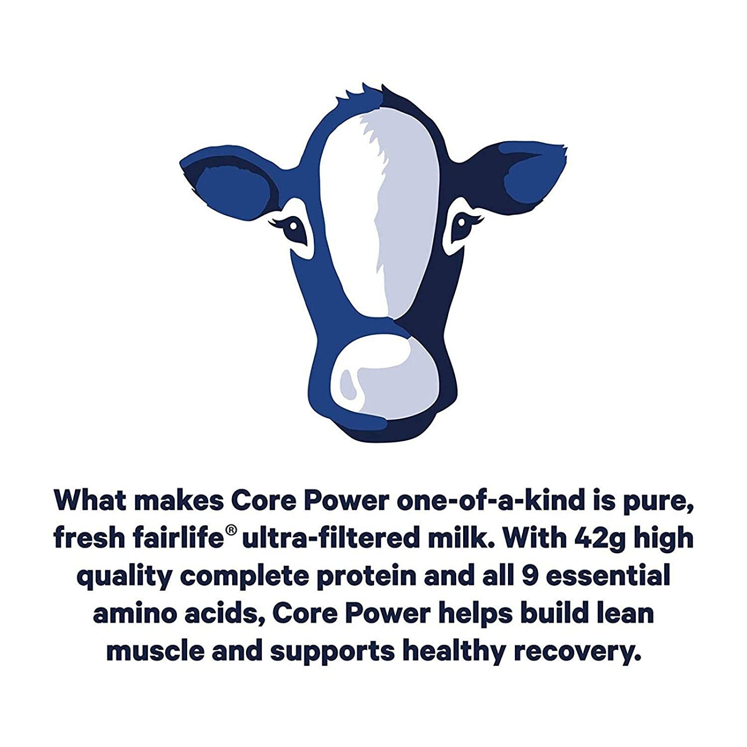 Core Power Elite High Protein Milk Shake 2 Flavor Pack (6 Bottles)