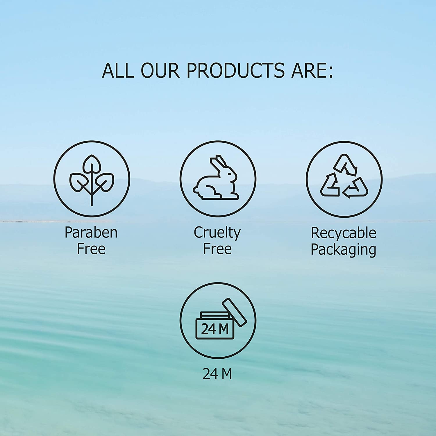 Dead Sea Collection Mineral Salt Scrub with Himalayan Salt 23.98 oz.