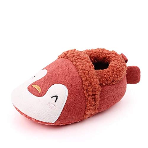 DOGEEK Baby Shoes