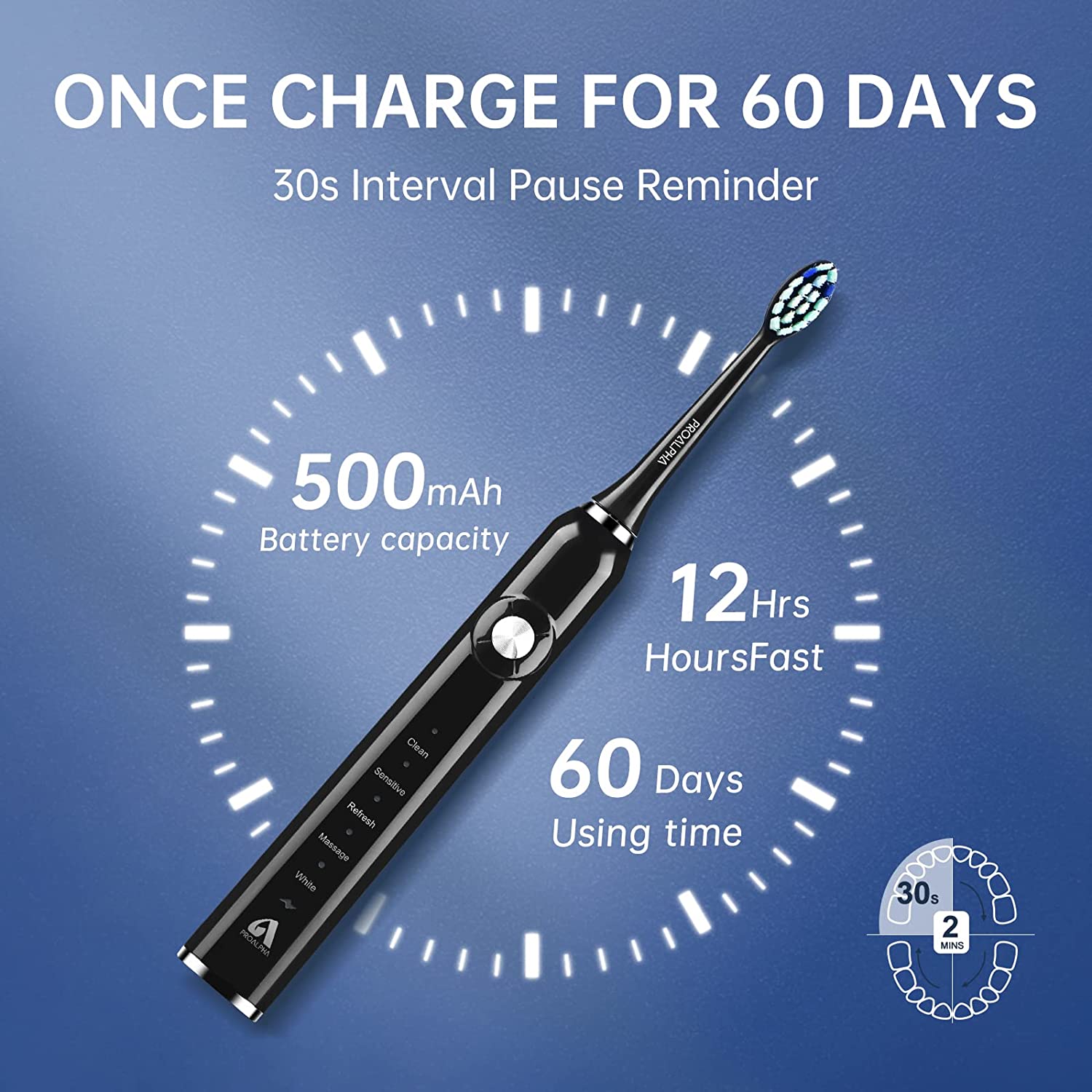 Proalpha Electric Toothbrush for Adults, Sonic Electric Toothbrushes With Travel Case, 6 Brush Heads