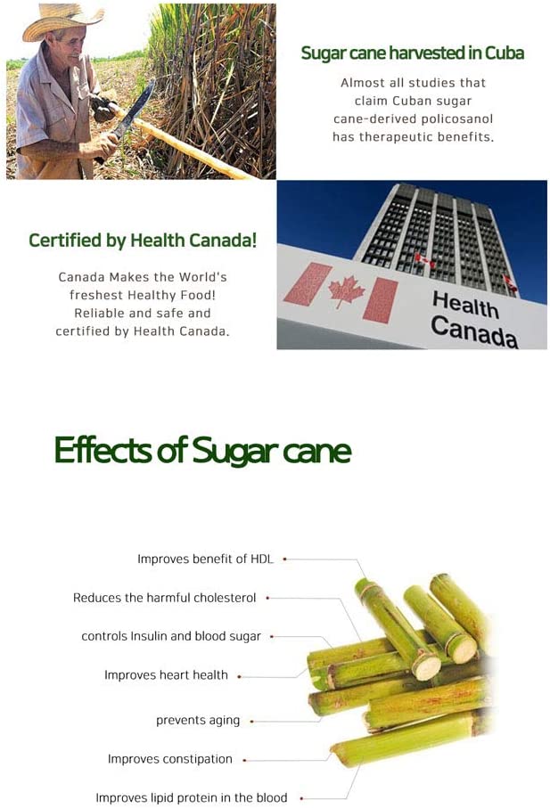 PNC Policosanol Cuban Active Ingredient Healthy Cholesterol Metabolism and Support Cardiovascular He